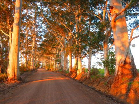 Innisfree Mountain Retreat - Geraldton Accommodation 10
