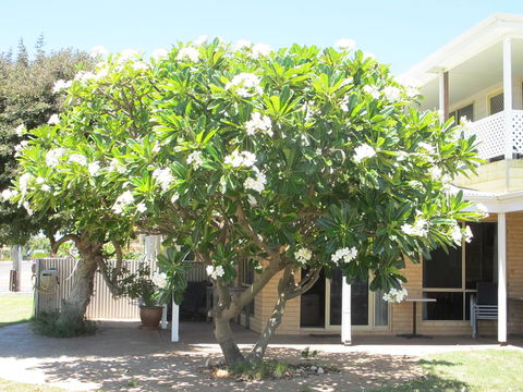 Kalbarri Riverfront Unit - Geraldton Accommodation 6
