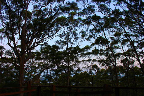 Ark Of Denmark - Geraldton Accommodation 27
