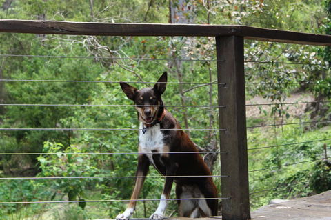 Ark Of Denmark - Geraldton Accommodation 10