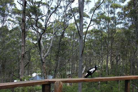 Ark Of Denmark - Geraldton Accommodation 11