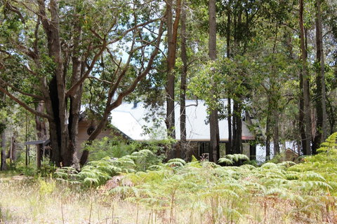 Scotsdale Valley Studios - Geraldton Accommodation 12