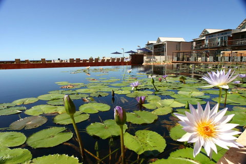 Mantarays Ningaloo Beach Resort - Geraldton Accommodation 4