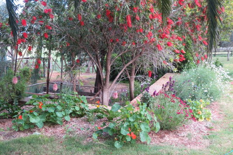 Bentwood Olive Grove Accommodation - Geraldton Accommodation 21