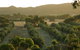 Bentwood Olive Grove Accommodation - thumb 20