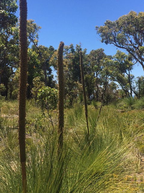 Eagle Bay House - Geraldton Accommodation 15