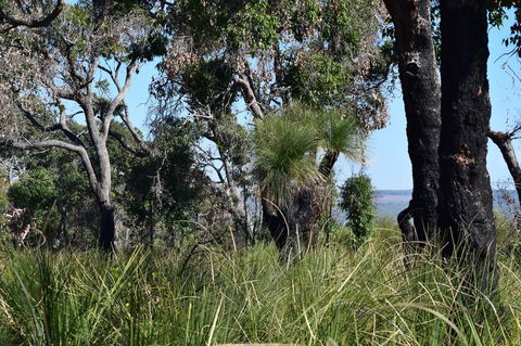 Eagle Bay House - Geraldton Accommodation 32