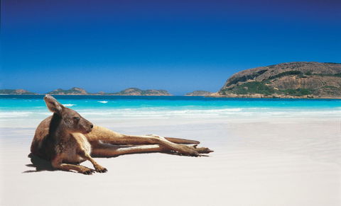 Shiralee Hostel -note - Valid Passport Required To Check In - Geraldton Accommodation 0
