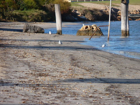 Leander Reef Holiday Park - Geraldton Accommodation 6