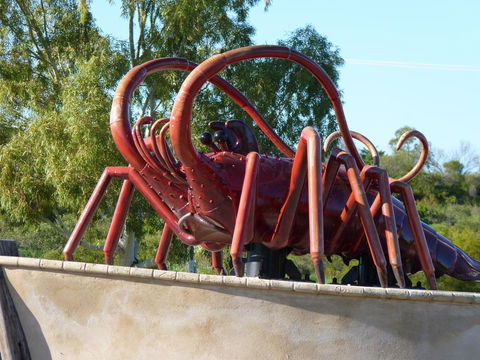 Leander Reef Holiday Park - Geraldton Accommodation 4