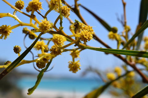Eagle Bay House - Geraldton Accommodation 12