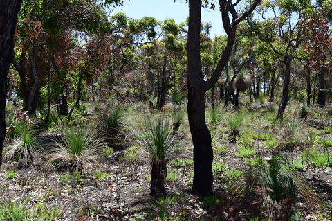 Eagle Bay House - Geraldton Accommodation 27