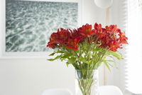 Book Kingston Beach Accommodation Vacations Geraldton Accommodation Geraldton Accommodation