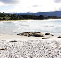 Mermaids of Bicheno - Geraldton Accommodation