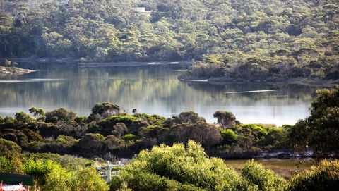 SEA EAGLE COTTAGE Amazing Views Of Bay Of Fires - Geraldton Accommodation 17