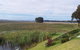 Pelican Point Sanctuary - thumb 22