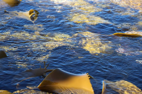 Blu-Sea 365 - Geraldton Accommodation 28