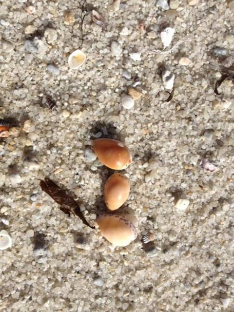 Blu-Sea 365 - Geraldton Accommodation 27