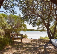 Oystercatcher - On the banks of the lagoon - Geraldton Accommodation