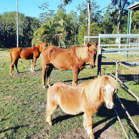 Paskins Farm - Geraldton Accommodation 0