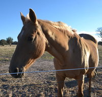 Penny's Place in The pyrenees - Geraldton Accommodation