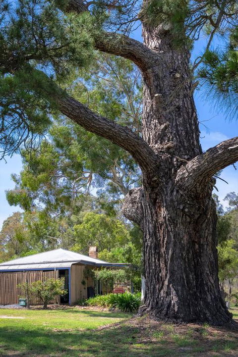 Rose Cottage - Geraldton Accommodation 3