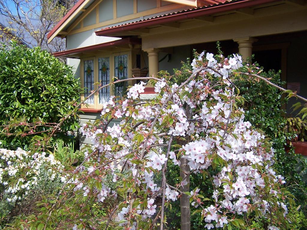 Katoomba NSW Geraldton Accommodation