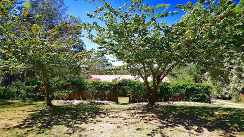 Shiralee's Rest Of Katoomba - Geraldton Accommodation 0