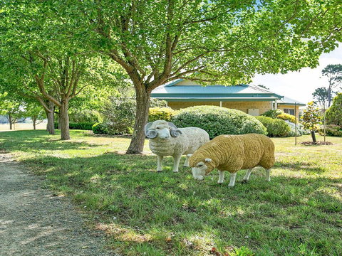 Sinden Park - Garden, Swimming Pool, Rural Vistas - Geraldton Accommodation 2