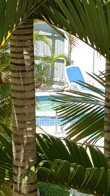 Studio Apartment Mooloolaba Beach Holiday Management - Geraldton Accommodation 0