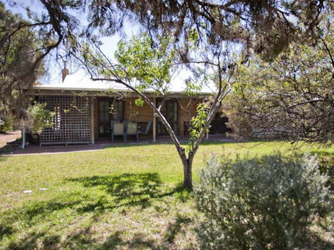 Tea Tree - Geraldton Accommodation 1