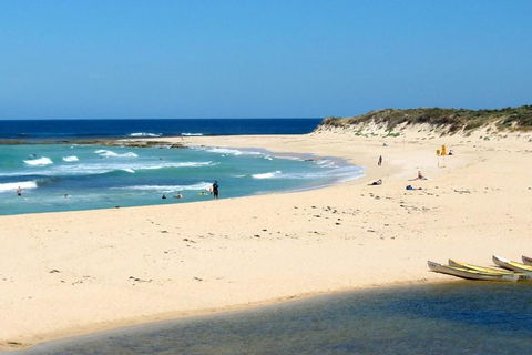 Tea Tree - Geraldton Accommodation 2