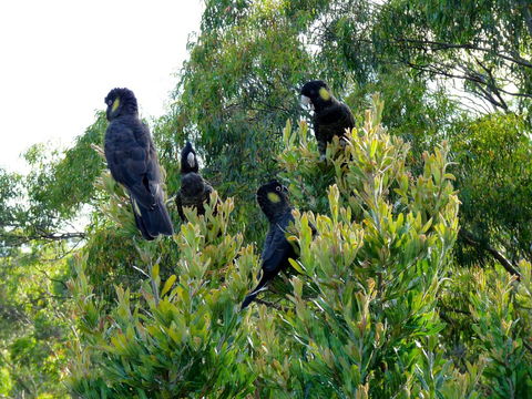 Eagles Rise Tasmania - Geraldton Accommodation 10