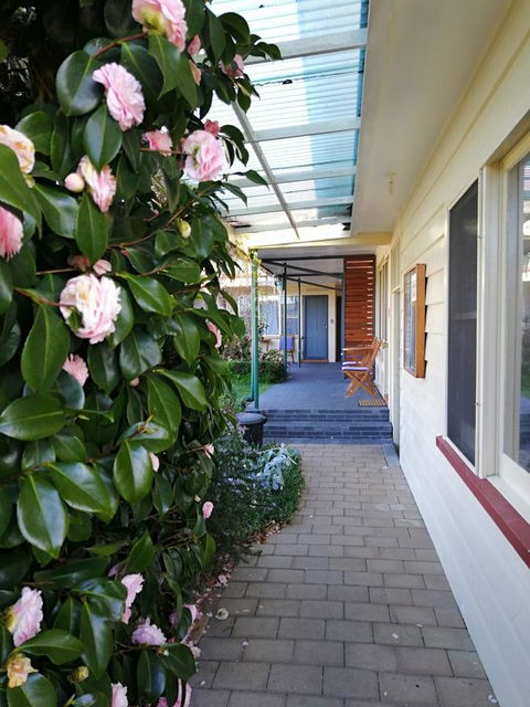 Wintersun Gardens Motel - Geraldton Accommodation 5