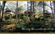 Lemonthyme Wilderness Retreat - thumb 20