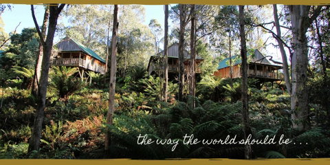 Lemonthyme Wilderness Retreat - Geraldton Accommodation 20