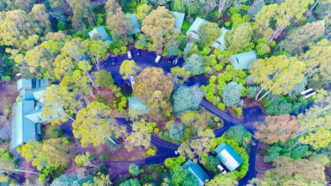 Lemonthyme Wilderness Retreat - Geraldton Accommodation 1