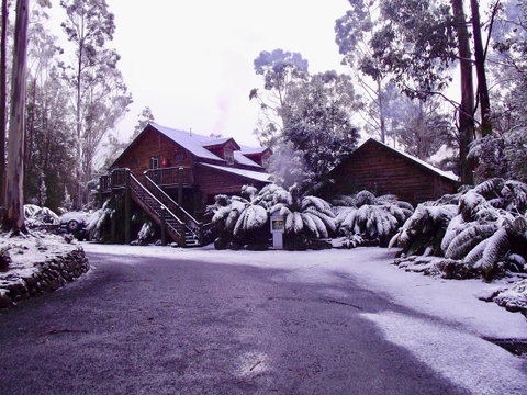 Lemonthyme Wilderness Retreat - Geraldton Accommodation 12