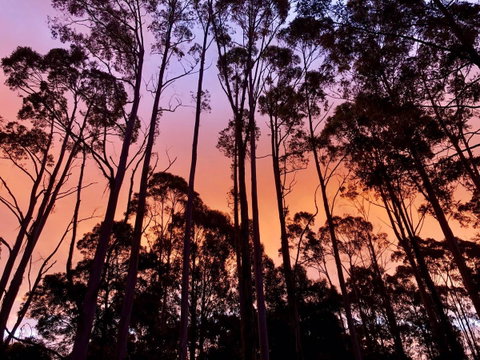 Lemonthyme Wilderness Retreat - Geraldton Accommodation 8