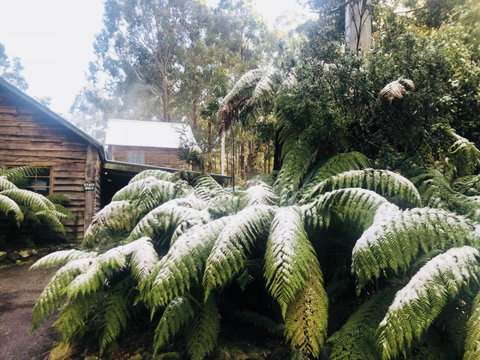 Lemonthyme Wilderness Retreat - Geraldton Accommodation 5