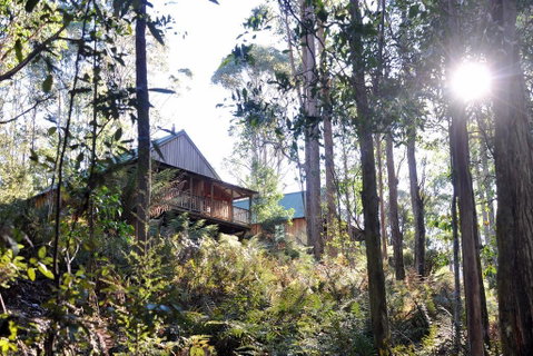 Lemonthyme Wilderness Retreat - Geraldton Accommodation 25