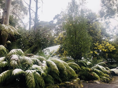 Lemonthyme Wilderness Retreat - Geraldton Accommodation 16