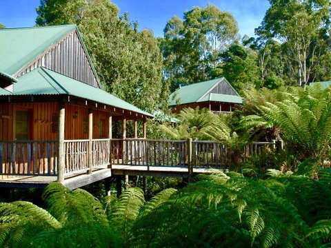 Lemonthyme Wilderness Retreat - Geraldton Accommodation 11