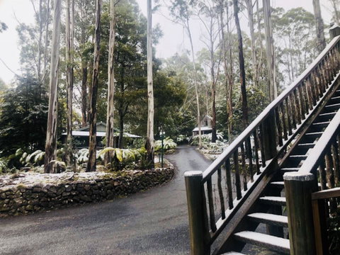 Lemonthyme Wilderness Retreat - Geraldton Accommodation 15