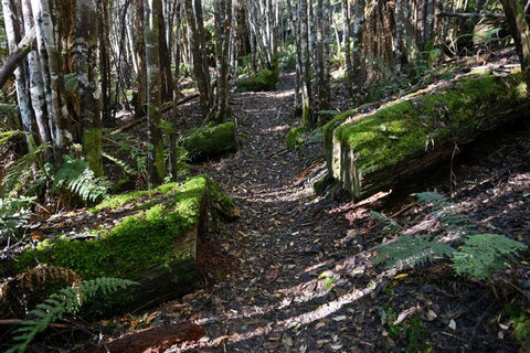 Lemonthyme Wilderness Retreat - Geraldton Accommodation 22