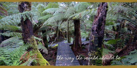 Lemonthyme Wilderness Retreat - Geraldton Accommodation 17