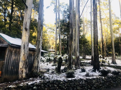 Lemonthyme Wilderness Retreat - Geraldton Accommodation 6