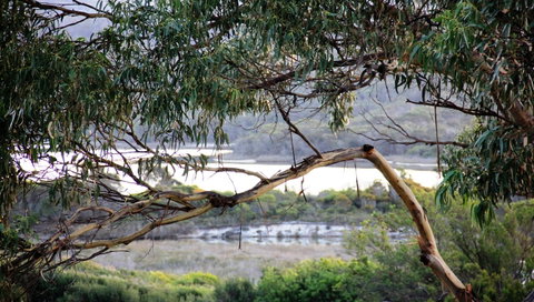 KINGFISHER COTTAGE Beachfront At The Binalong Bay - Geraldton Accommodation 17