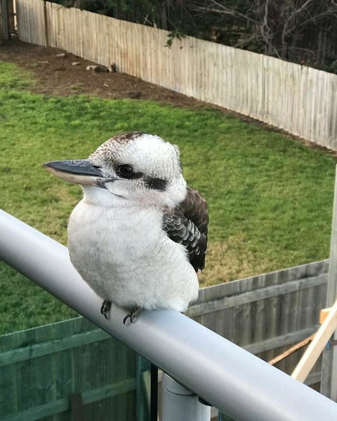 Seas The Day - Seaside Getaway - Geraldton Accommodation 11