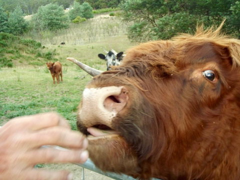 Eden Orchard & Farmstay - Geraldton Accommodation 25